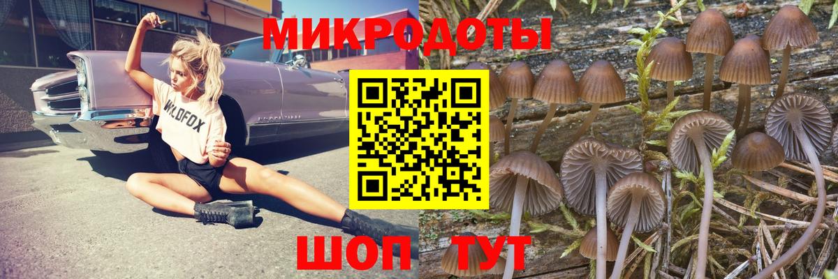Донецк  Галлюциногенные грибы GOLDEN TEACHER  Вход с VPN 