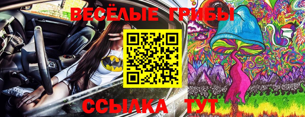 Псилоцибиновые грибы MAGIC MUSHROOMS Донецк